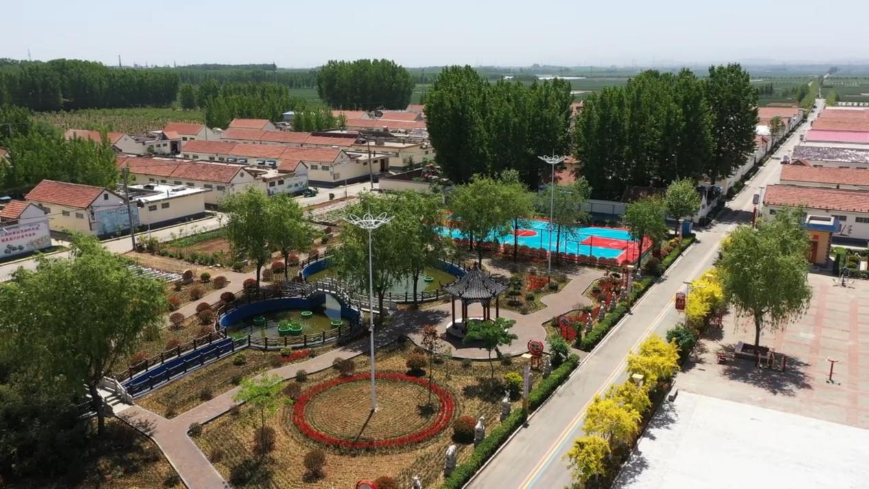 整治后的村莊面貌一新