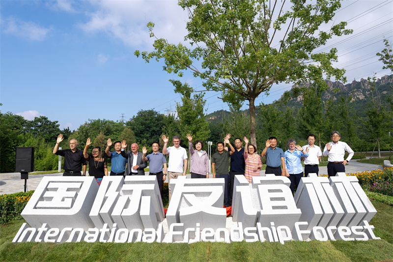 青島國際友誼林揭牌。青島市委外辦供圖