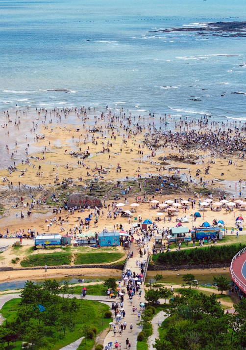 太公島牡蠣公園滿是趕海的游客，大家專(zhuān)注尋覓，與大海親密互動(dòng)，構(gòu)成一幅活力滿滿的趕海圖景。宋年升攝