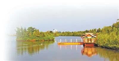 黃昏時(shí)分的馬頰河一角。張玉瑩攝