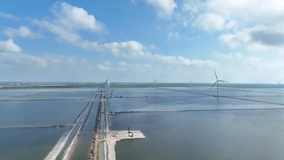 一望無(wú)際的鹽田蝦養(yǎng)殖灘涂。濱州市委宣傳部供圖