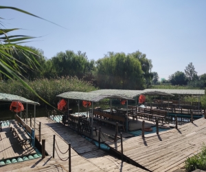 
淄博市蓑衣樊村：鄉(xiāng)村游帶動(dòng)鄉(xiāng)村富
















