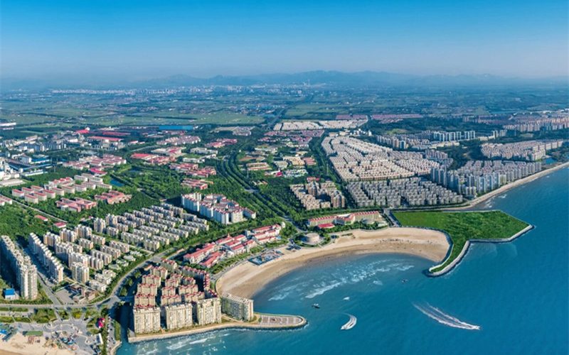 誰(shuí)還不是，龍口的“粉絲”？