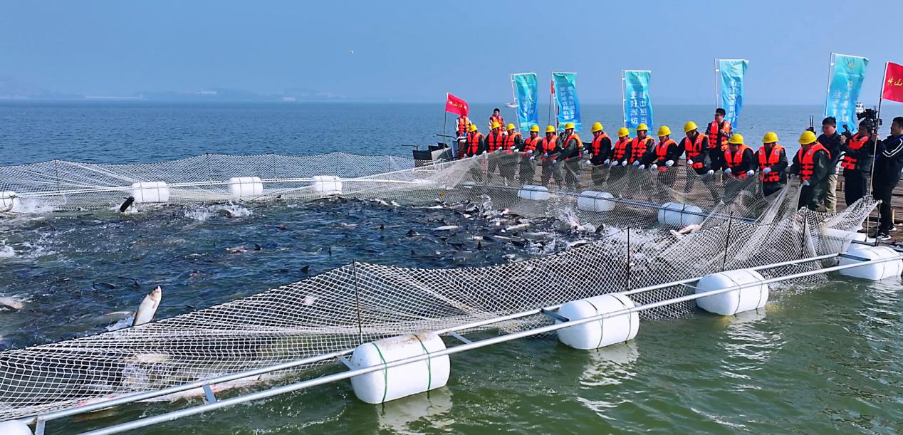 微信圖片_20241118093559