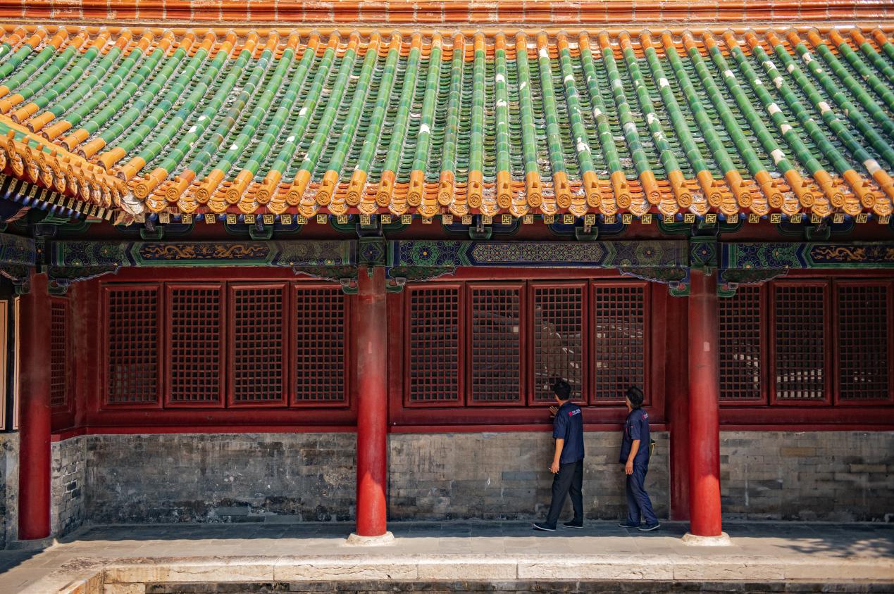 “三孔”古建隊工匠正在孔廟進行檢查。楊國慶攝