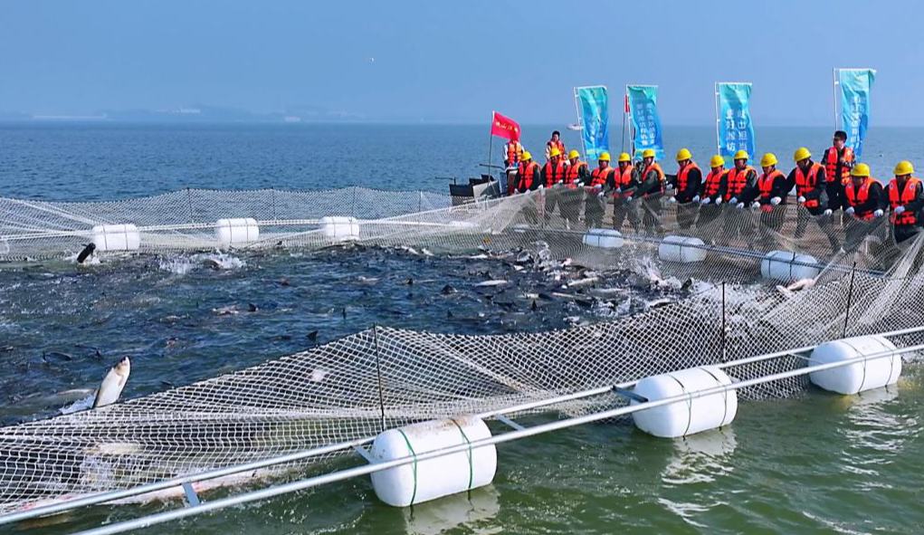 解碼水清魚(yú)躍的生態(tài)發(fā)展密碼