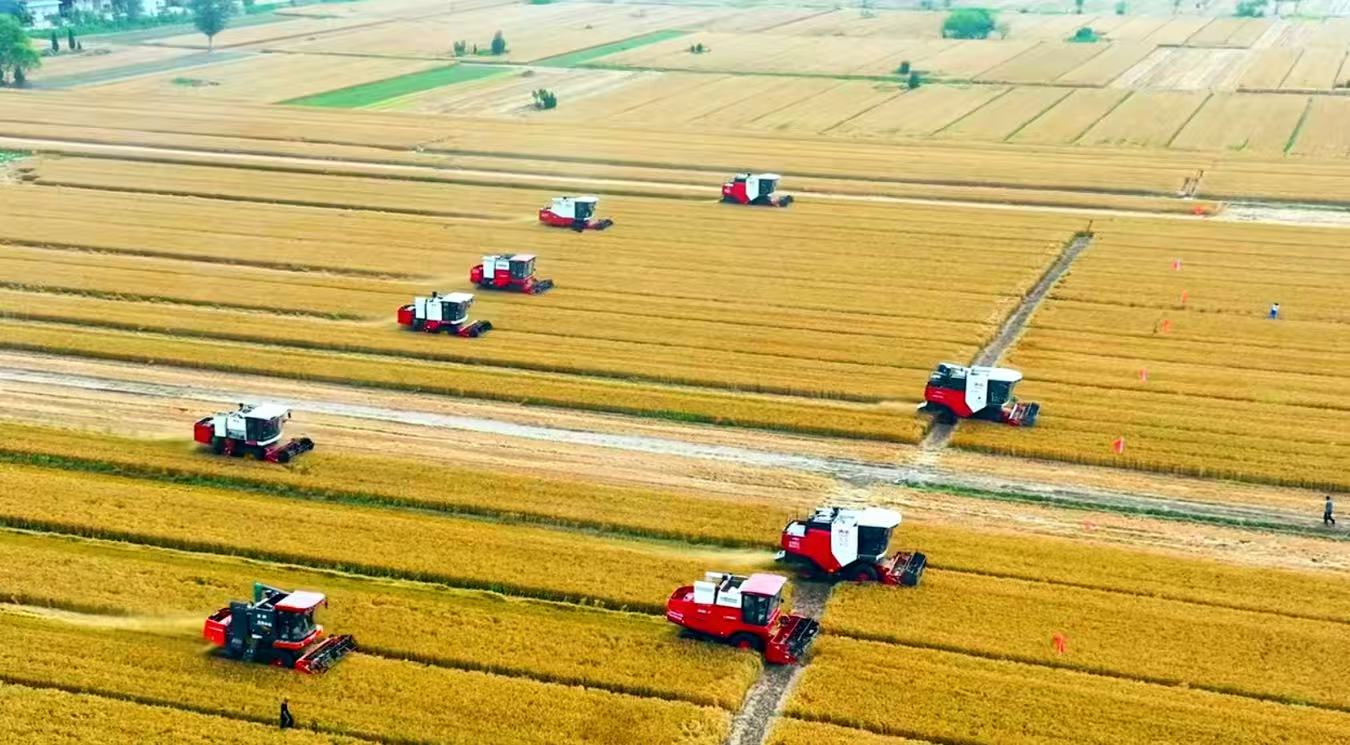 機(jī)收減損。濟(jì)陽區(qū)糧食和物資儲(chǔ)備中心供圖