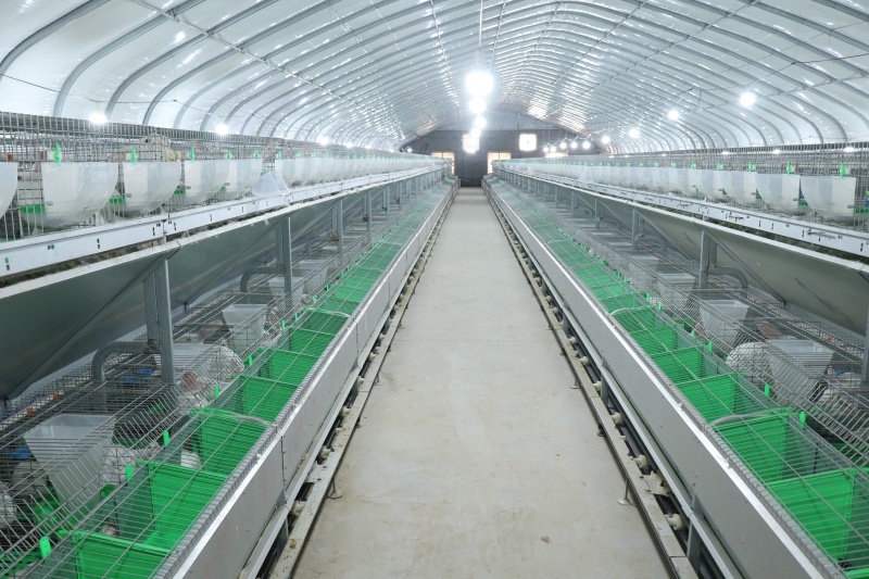 新風(fēng)系統(tǒng)為兔子營造出舒適的生長環(huán)境。定陶區(qū)委宣傳部供圖