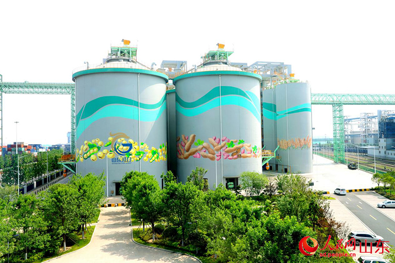 海港的糧食筒倉，遠(yuǎn)處是運輸平臺。人民網(wǎng)記者 劉祺攝