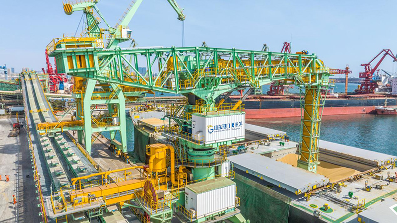 首臺全國產(chǎn)自動化糧食連續(xù)卸船機正在卸船。日照港供圖