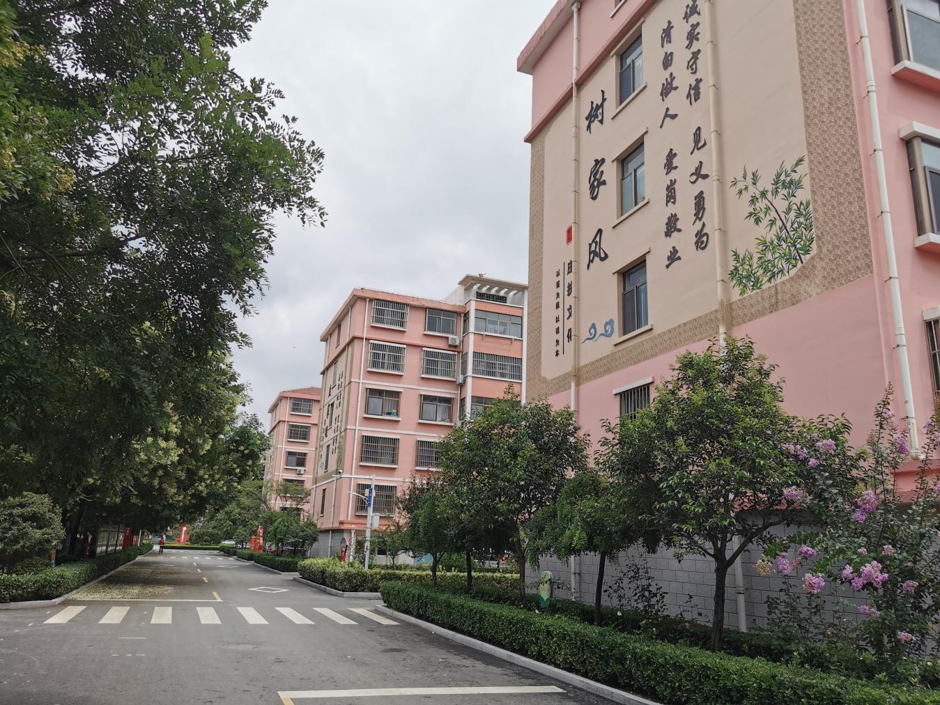 萊西市莊扶新村建設(shè)的樓房