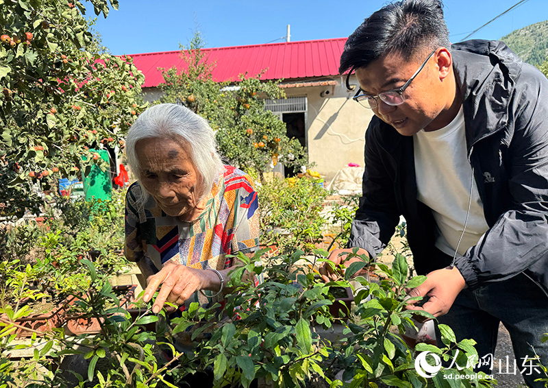 劉威上門指導孫大娘剪枝。人民網(wǎng)記者 劉祺攝