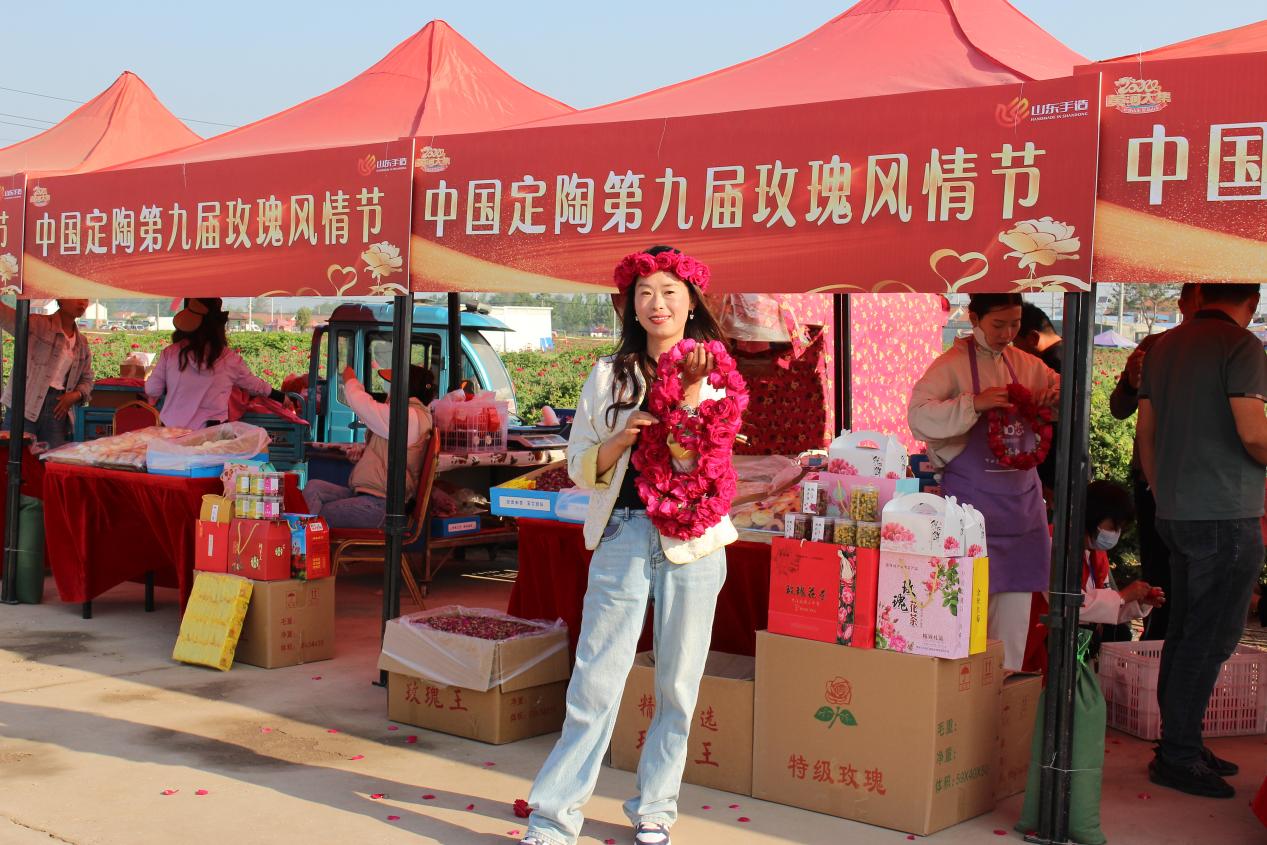 玫瑰節(jié)串起鄉(xiāng)村旅游路線。菏澤市定陶區(qū)委宣傳部供圖