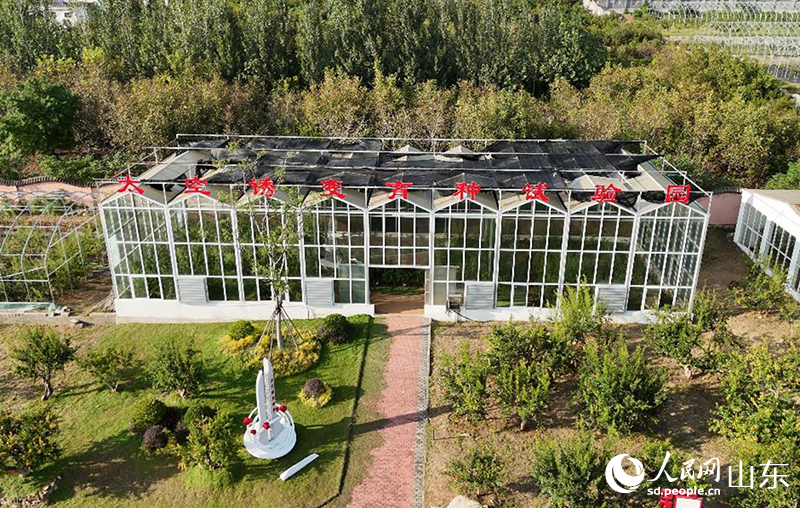 航拍太空誘變育種試驗園。人民網(wǎng)記者 劉祺攝