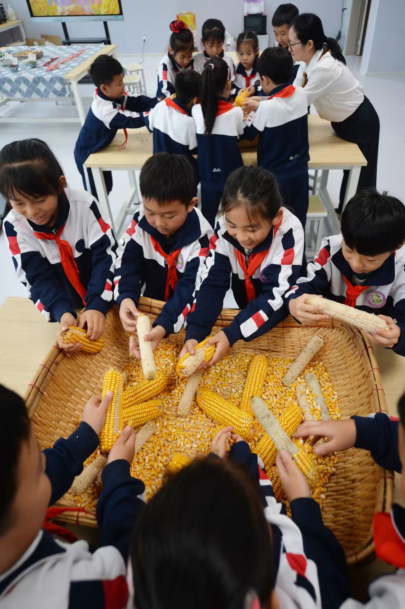 學(xué)生們?cè)谶M(jìn)行搓玉米比賽