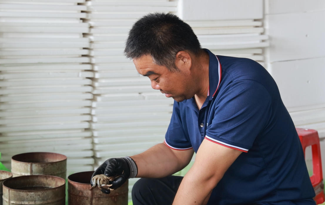 工作人員根據(jù)螃蟹的等級(jí)進(jìn)行分揀、包裝。微山縣委宣傳部供圖。