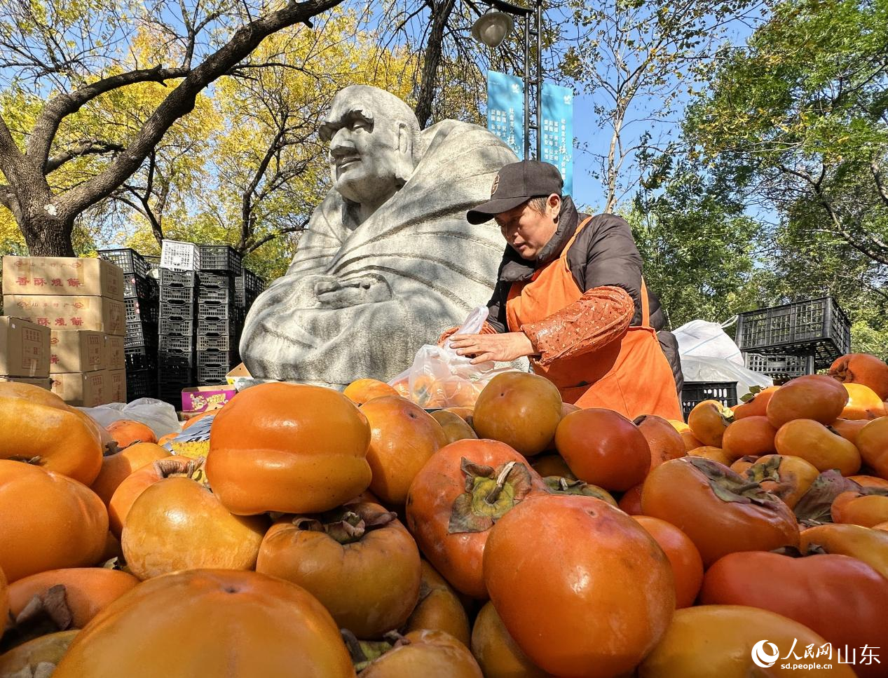大而飽滿的柿子擺滿了攤位，現(xiàn)場洋溢著豐收的喜悅。人民網(wǎng) 喬姝攝