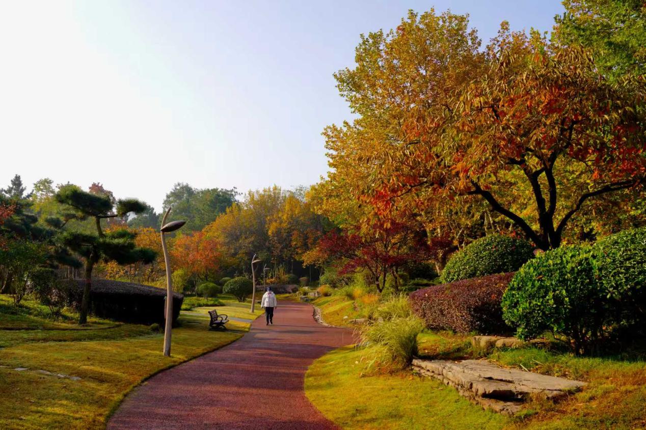 公園里五彩斑斕交織成一幅油畫。袁召勇 攝
