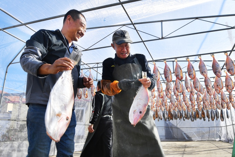 兩名漁民準(zhǔn)備晾曬新腌制的面包魚。