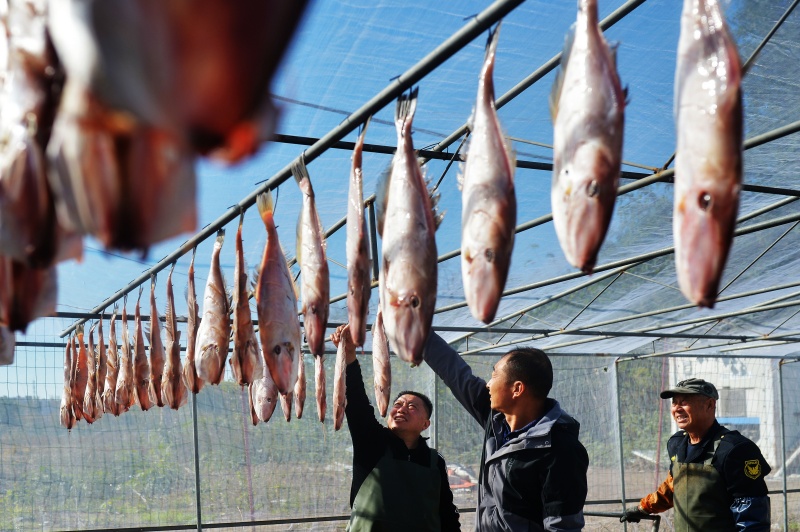 漁民在晾曬“一鹵鮮”面包魚干。