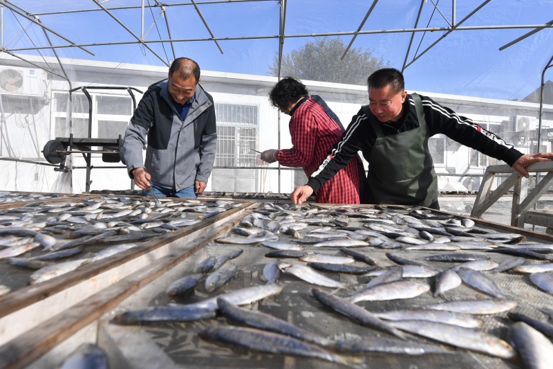 漁民在晾曬各種“一鹵鮮”風(fēng)味魚干。