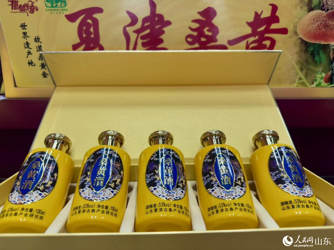 桑黃酒。人民網(wǎng) 鄭昕橋攝