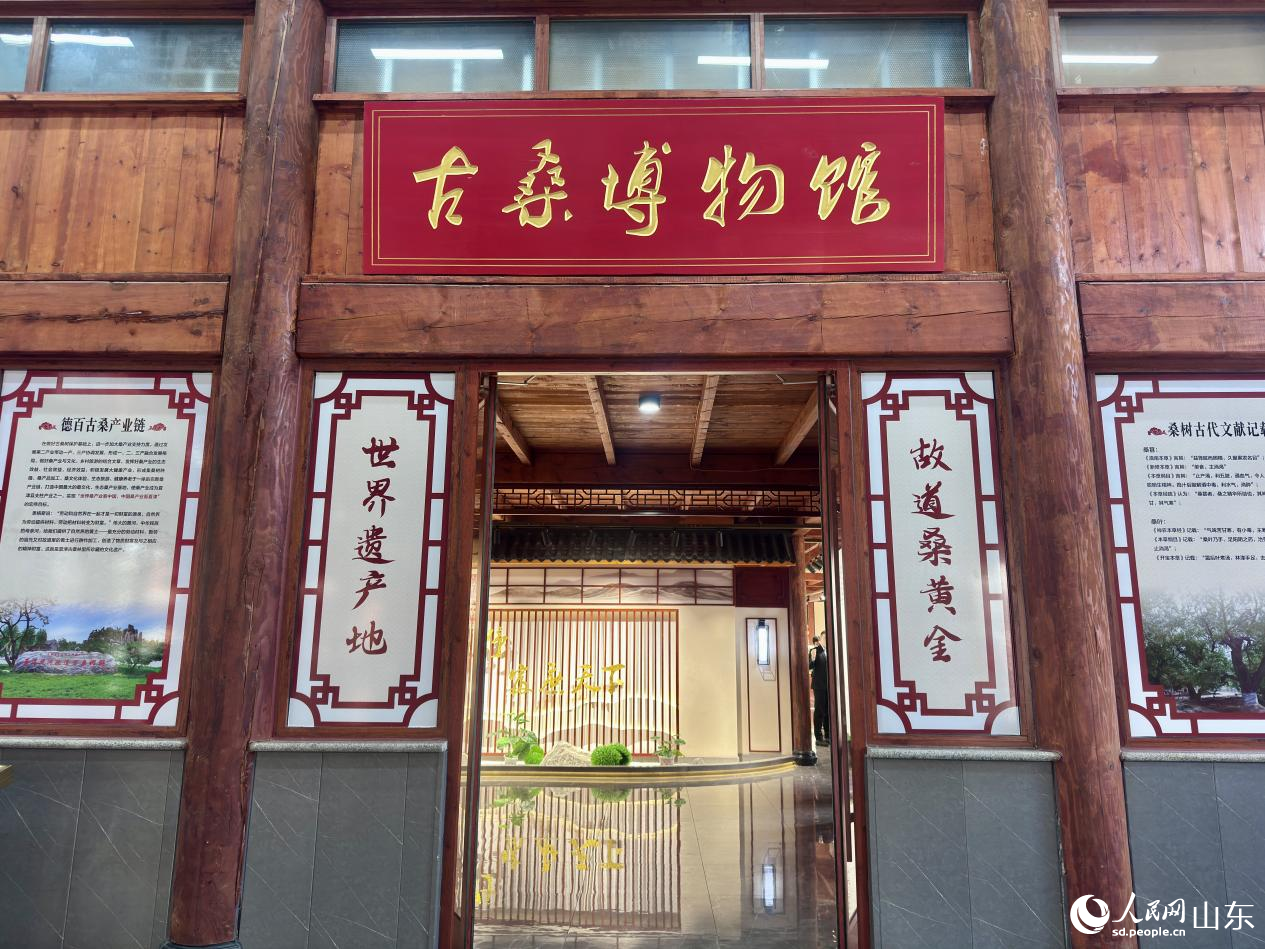 古桑博物館。人民網(wǎng) 鄭昕橋攝