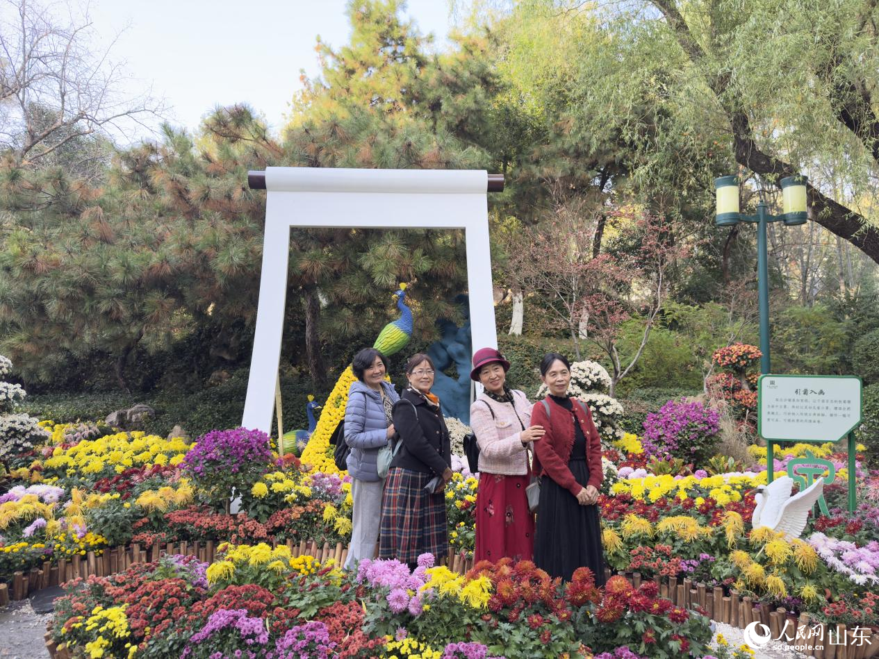 菊影成幕，游客打卡《引菊入畫》展區(qū)。人民網(wǎng) 莊潤澤攝