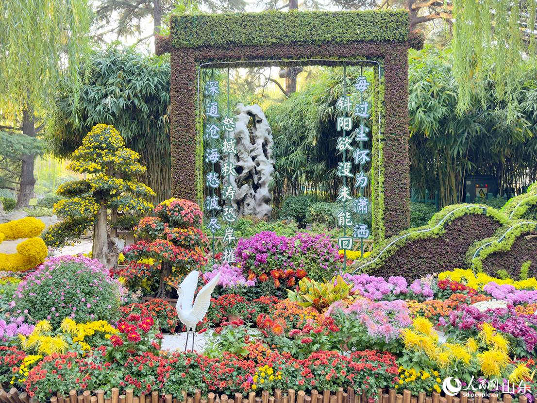 創(chuàng)意菊藝。人民網(wǎng) 莊潤澤攝