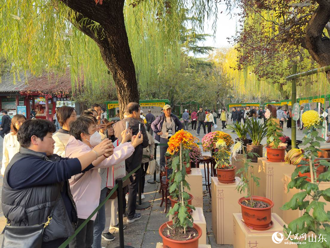 游客圍觀拍攝“中國傳統(tǒng)十大名菊”。人民網(wǎng) 莊潤澤攝