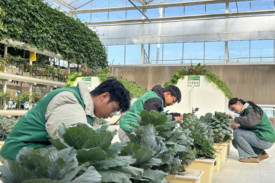 “關(guān)注環(huán)境保護(hù) 守護(hù)更好濰坊”生態(tài)環(huán)?？破罩驹阜?wù)活動(dòng)舉行