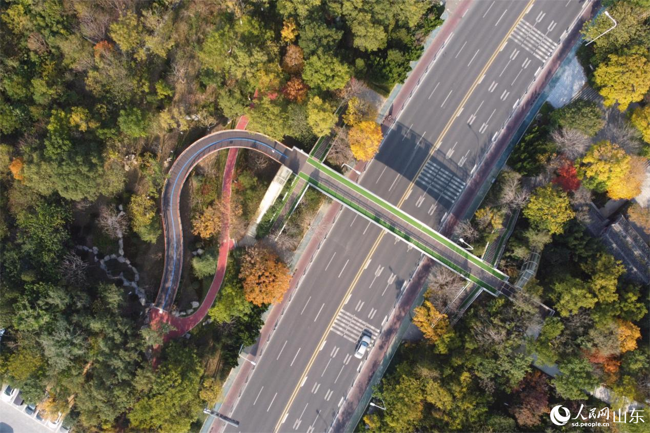 濟南市千佛山—佛慧山無障礙綠道。人民網(wǎng) 喬姝攝