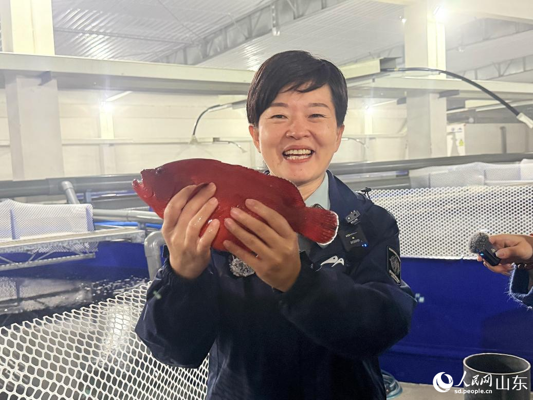 王曉梅展示養(yǎng)殖的紅九棘鱸。 李子悅 攝