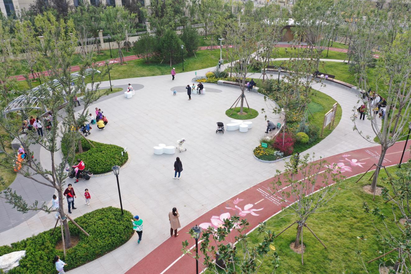 濟南市高新區(qū)漢峪玉蘭公園。宋希英攝