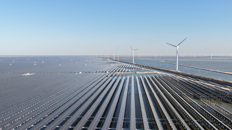 漁光互補(bǔ)發(fā)電項(xiàng)目。何立州攝