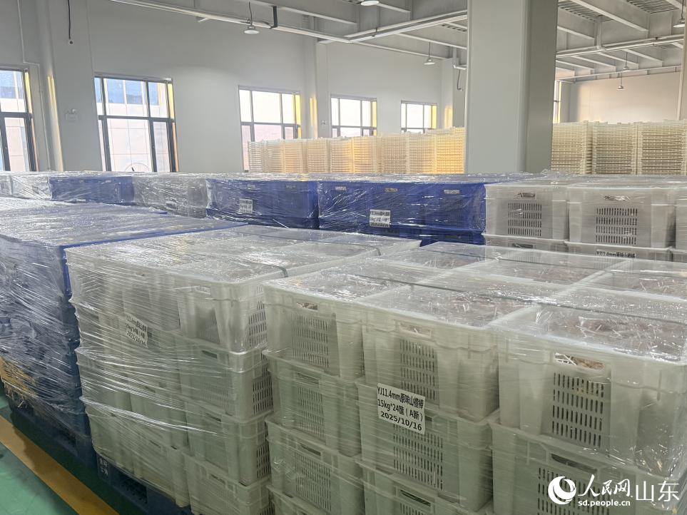 山東億佳食品有限公司倉儲(chǔ)車間。 人民網(wǎng) 李子悅攝