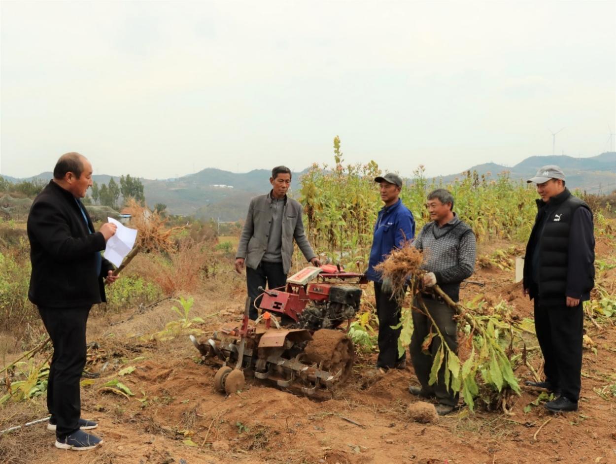 技術員向煙農(nóng)講解煙秸清理知識