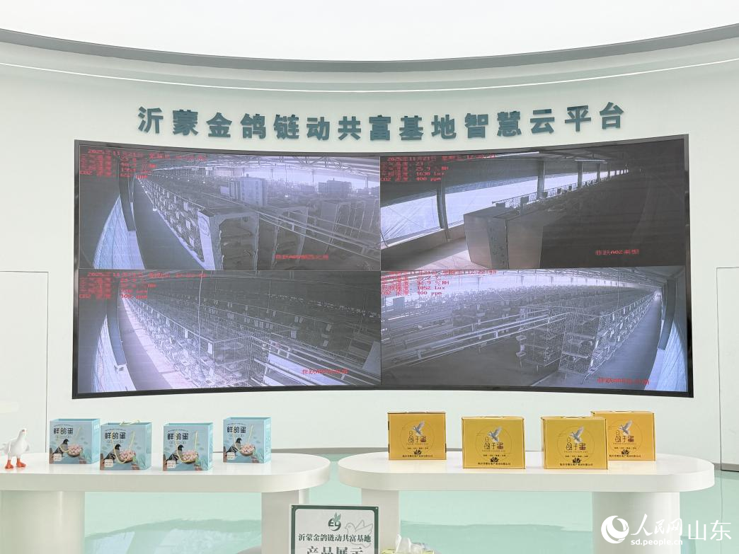 沂蒙金鴿鏈動共富基地智慧云平臺。 人民網(wǎng) 李子悅攝