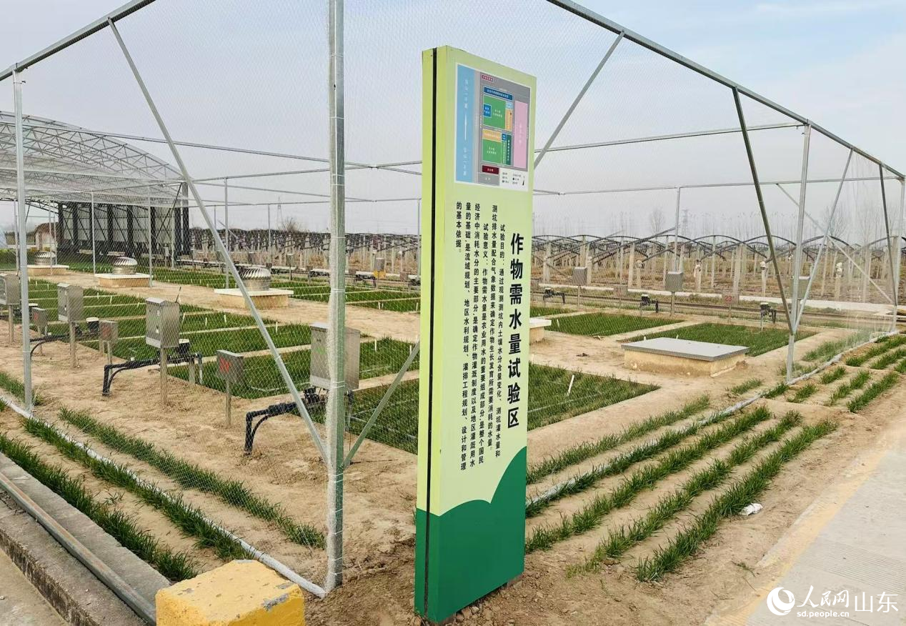 聊城市位山灌區(qū)灌溉試驗(yàn)站作物需水量試驗(yàn)區(qū)。人民網(wǎng)記者 喬姝攝