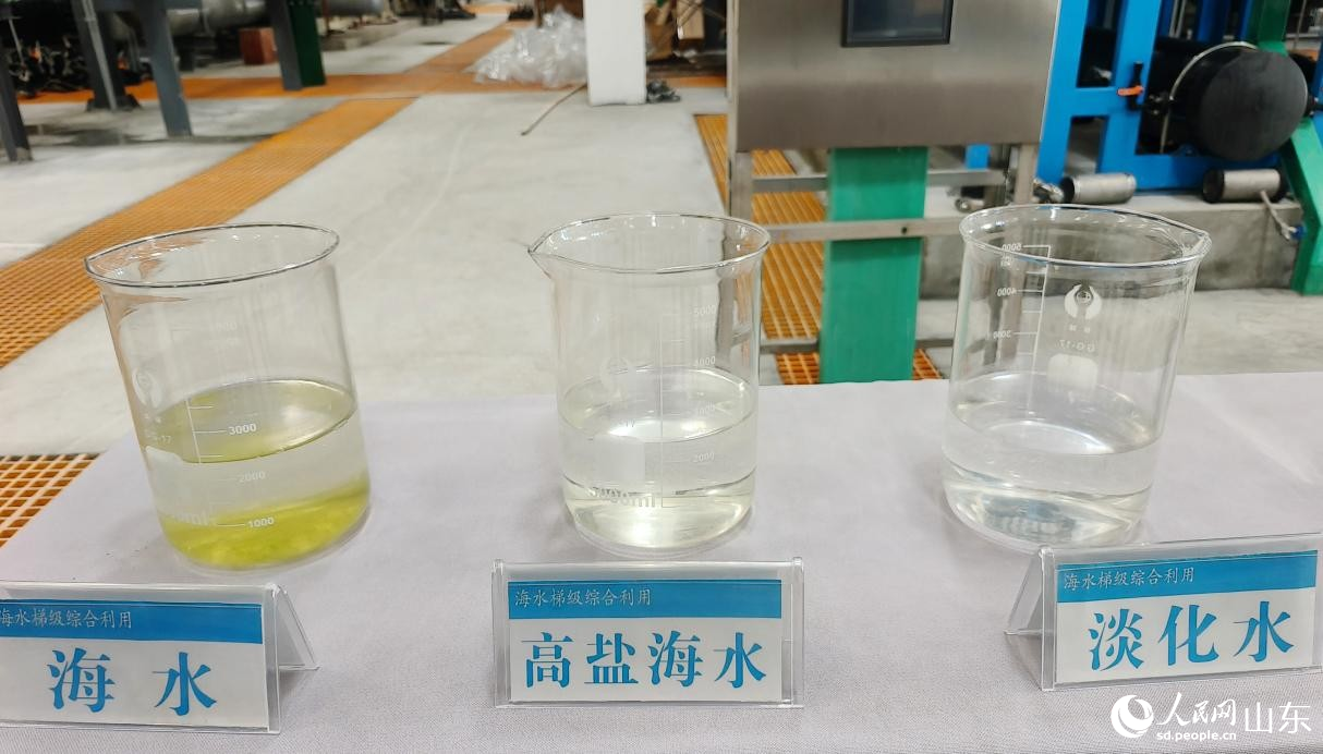 海水、高鹽海水和淡化水樣品對(duì)比。人民網(wǎng)記者 宋翠攝