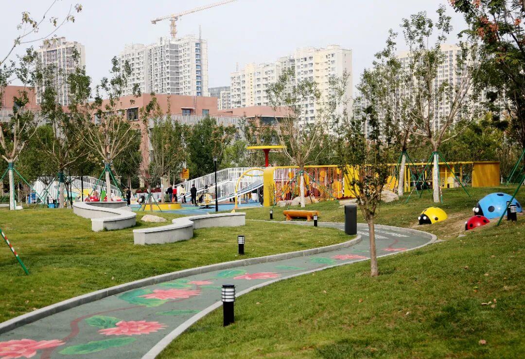 歷下區(qū)兒童友好公園精靈草坪