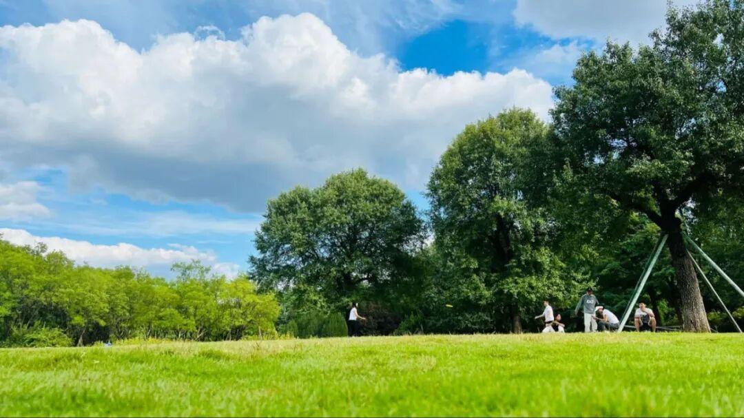 濟南森林公園北部大草坪
