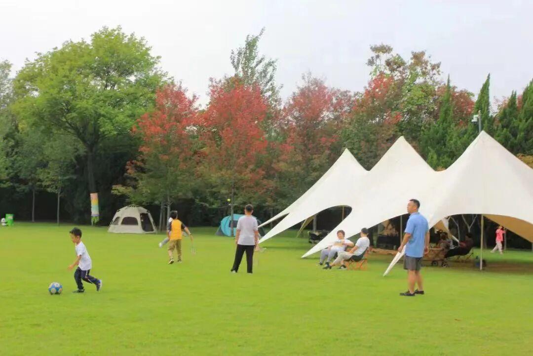 濟南植物園彩色植物區(qū)大草坪