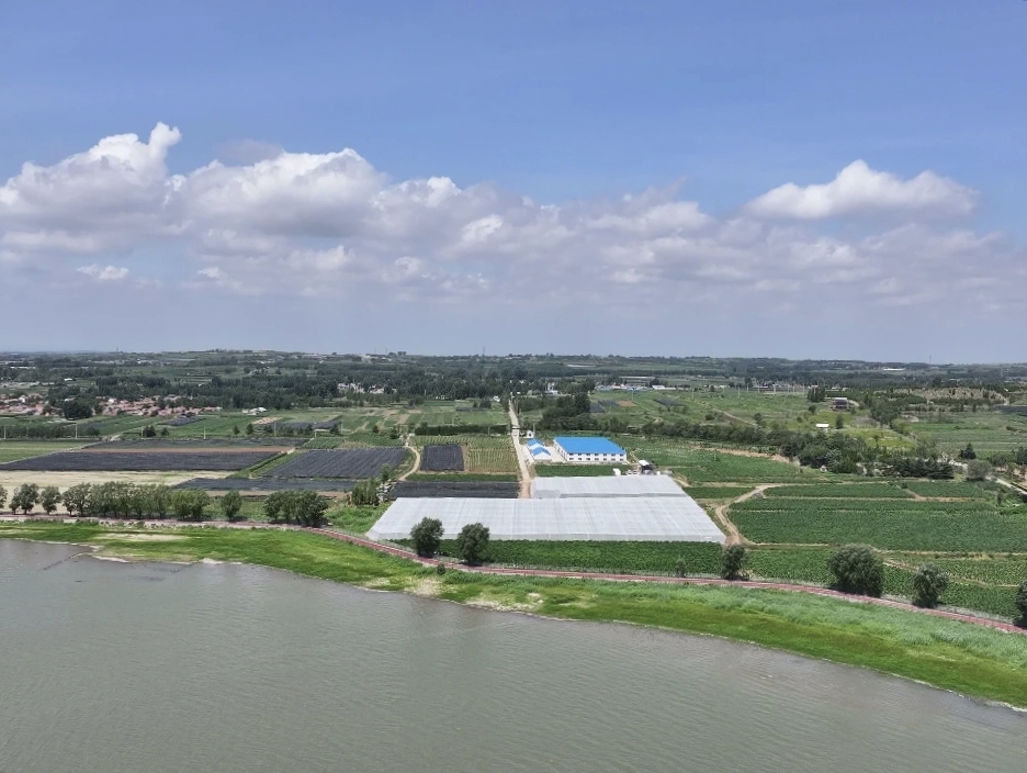 “峽山水韻”雪茄煙種植省級示范園