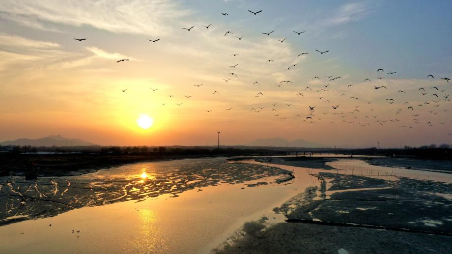 兩城河口濕地輪廓鑲金，粼粼波光與暖橘色日出相融。安佰明 攝