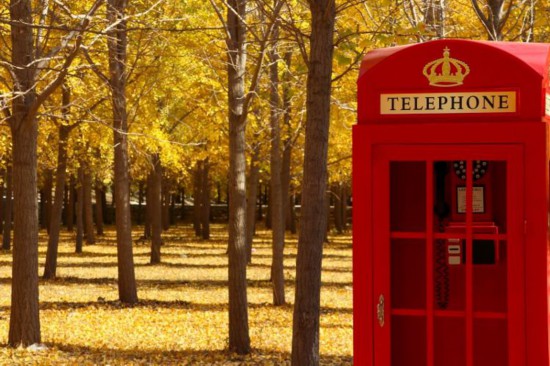 千畝銀杏林現(xiàn)已成為展示黃河風(fēng)景、濟(jì)南文韻、槐蔭生態(tài)的靚麗名片。